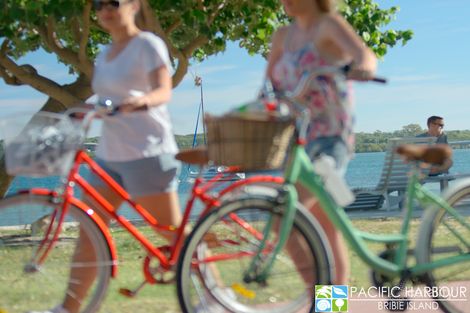 179 Callisia Cres, Banksia Beach, QLD 4507