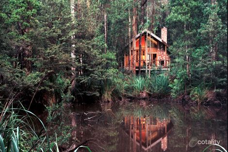 137 Manby Rd, Narbethong, VIC 3778