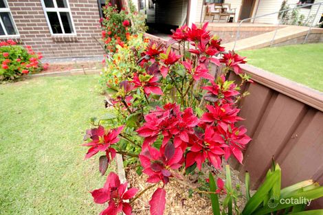 Property photo of 21 Adam Street Campsie NSW 2194