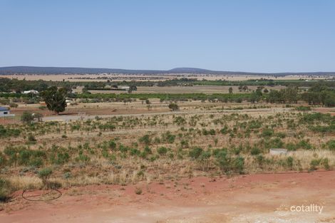 9 Qualitary Rd, Merungle Hill, NSW 2705