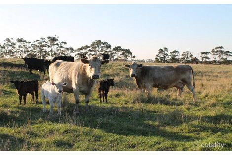 Property photo of 140 Nicholas Lane Birregurra VIC 3242