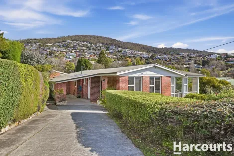Property photo of 17 Wayne Avenue Sandy Bay TAS 7005