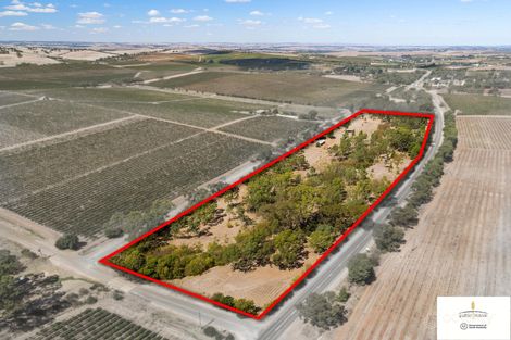 Property photo of 36 Old Road Watervale SA 5452