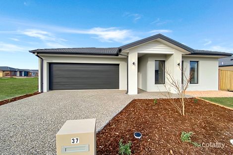 37 Ambient Cres, Beveridge, VIC 3753