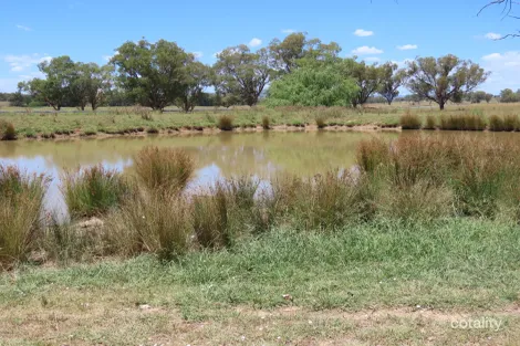 14213 New England Hwy, Timbumburi, NSW 2340