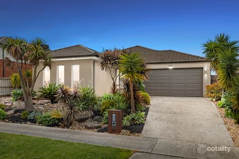 Property photo of 24 Saul Avenue Berwick VIC 3806