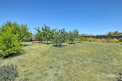 Property photo of 12 Powell Avenue Cardigan Village VIC 3352