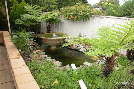 Property photo of 43 Brecon Street Windsor Gardens SA 5087