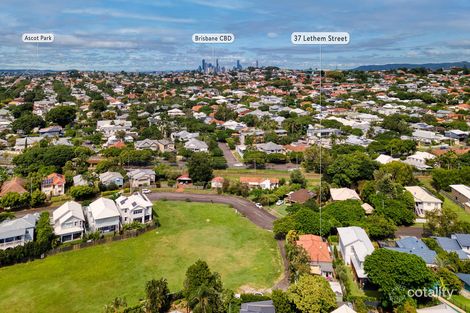 Property photo of 37 Lethem Street Hendra QLD 4011