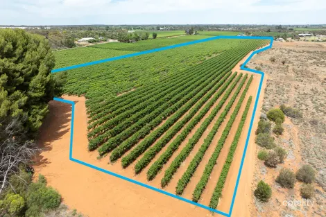 Lot 11 Battams Rd, Glossop, SA 5344