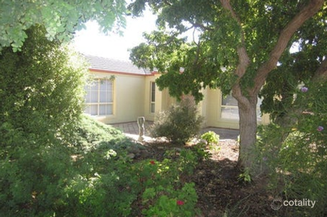 7 Cardiff Walk, Seaford, SA 5169