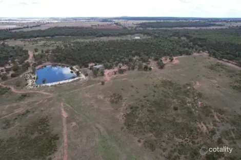 698 Wilga Ridge Rd, Fifield, NSW 2875