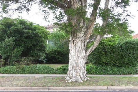 32 Sylvan Gr, Pascoe Vale, VIC 3044