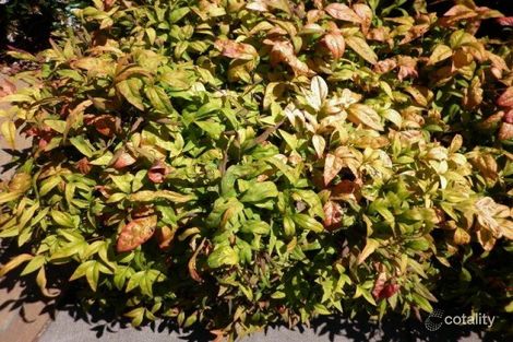 1/3 Jade Ct, Narre Warren, VIC 3805