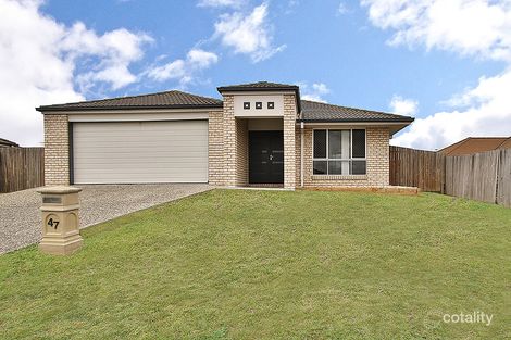 Property photo of 47 Banksia Drive Raceview QLD 4305