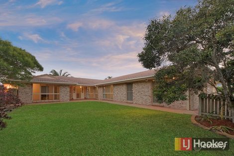 Property photo of 32 Allira Crescent Carseldine QLD 4034