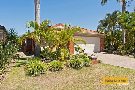 Property photo of 49 Vivacity Drive Upper Coomera QLD 4209