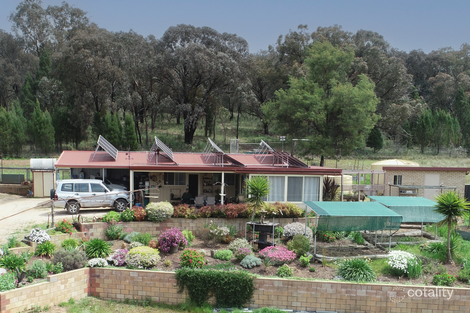 823 Peabody Rd, Molong, NSW 2866