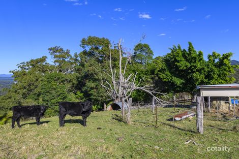 Property photo of 225 South Boambee Road Boambee NSW 2450