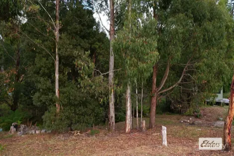 Property photo of 156 South Road Penguin TAS 7316