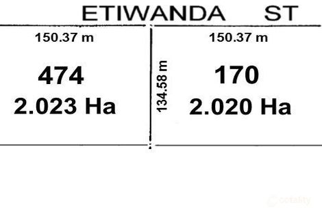 Property photo of 159 Etiwanda Street Renmark West SA 5341