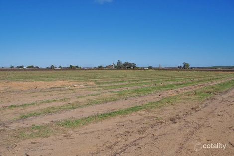 Property photo of 159 Etiwanda Street Renmark West SA 5341