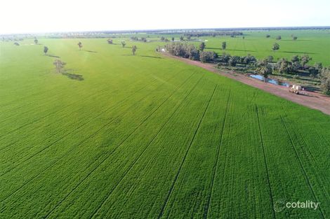 1377 Richardsons Rd, Dandaloo, NSW 2823