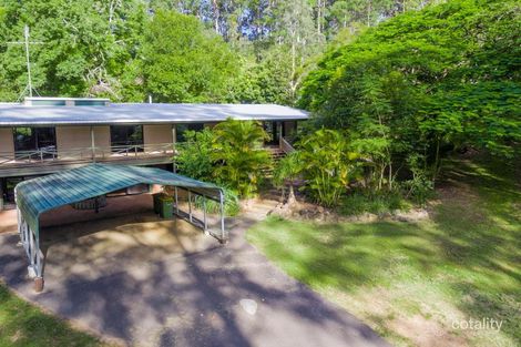 Property photo of 758 Louis Bazzo Drive Ringtail Creek QLD 4565