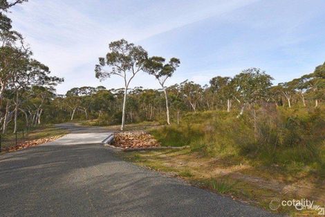 Property photo of 9 Callistemon Avenue Hill Top NSW 2575