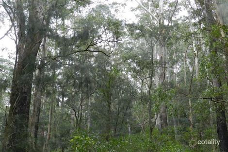 Property photo of 6 Putty Road Wilberforce NSW 2756