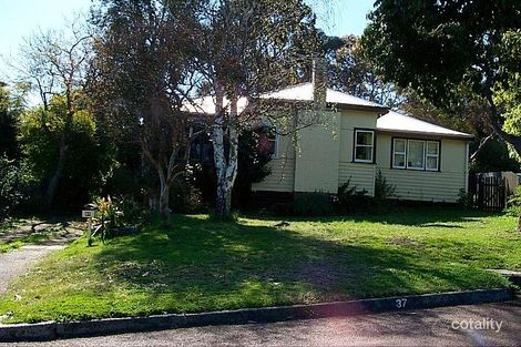 37 Bucktin St, Collie, WA 6225