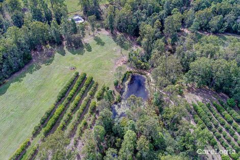 Property photo of 378 Tunnel Ridge Road Mooloolah Valley QLD 4553