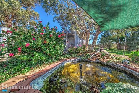 Property photo of 273 Karoborup Road Carabooda WA 6033