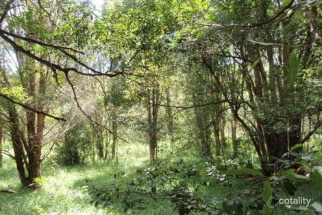 139 Billinudgel Rd, Billinudgel, NSW 2483