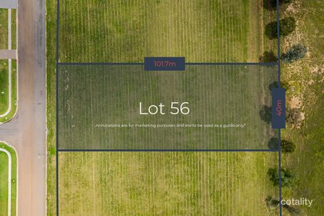 56 Queen St, Muswellbrook, NSW 2333