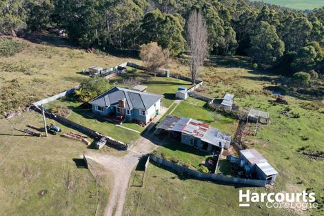 Property photo of 202 Brodies Road Golden Valley TAS 7304