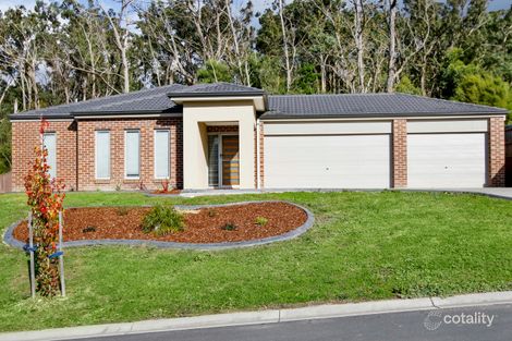 Property photo of 15 Valley Grove Place Yarra Junction VIC 3797
