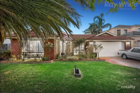 Property photo of 19 Atlantis Court Aspendale Gardens VIC 3195