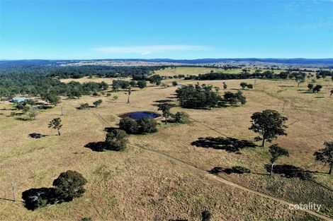 256 Losebys Rd, Big Hill, NSW 2579