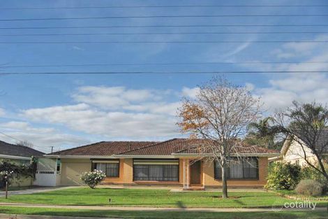 13 Tracey Ave, Flinders Park, SA 5025