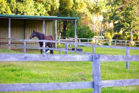 Property photo of 66 Yarrabee Terrace Stokers Siding NSW 2484