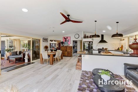 Property photo of 7 Corlis Street Bracken Ridge QLD 4017