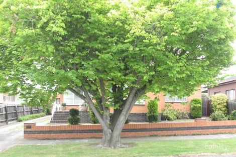 41a Austin Cres, Pascoe Vale, VIC 3044