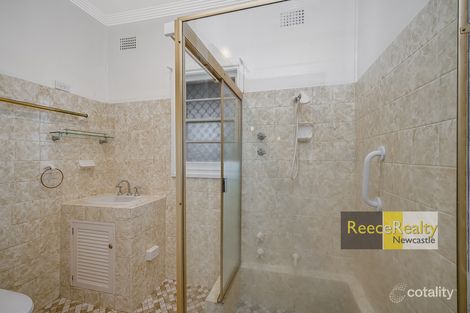 Property photo of 29 Rae Street Birmingham Gardens NSW 2287