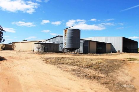 Property photo of 3929 Calingiri-Goomalling Road Karranadgin WA 6460