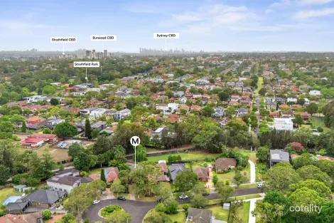 Property photo of 23 Fitzgerald Crescent Strathfield NSW 2135