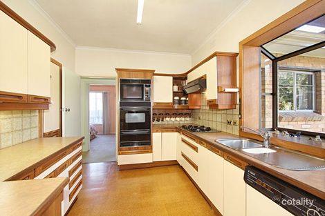 Property photo of 19 Damon Road Mount Waverley VIC 3149