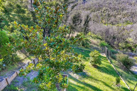 Property photo of 43 Rodriguez Avenue Blackheath NSW 2785