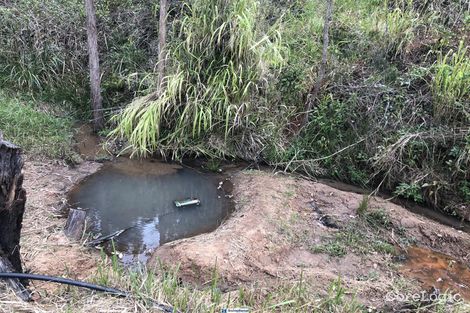 198 Chester Rd, Wondecla, QLD 4887