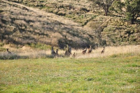 17 Thomas Kite Lane, Windera, NSW 2800